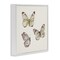 Stupell Industries Delicate Butterflies on Beige Framed Giclee, design by Patricia Pinto